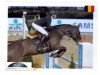 broodmare Cuffesgrange Cavalidam (Irish Sport Horse, 2005, from Luidam)