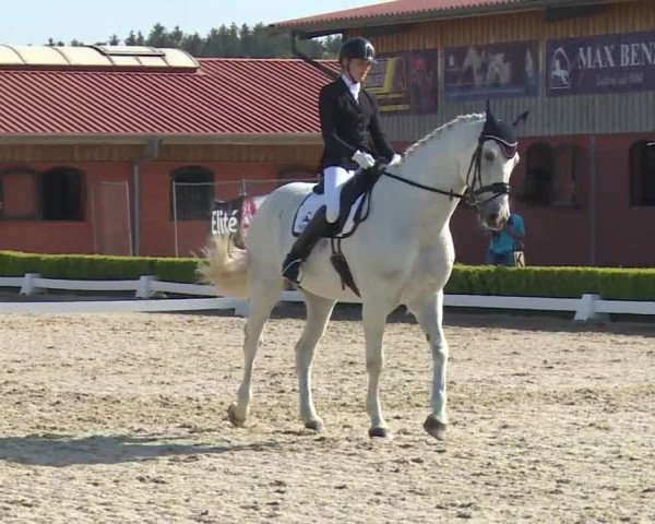Reitturnier Baldham 2018