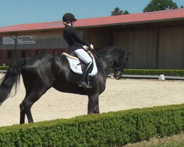 Reitturnier Baldham 2018