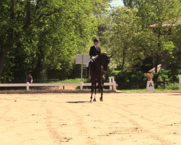 Reitturnier Meppen 2018