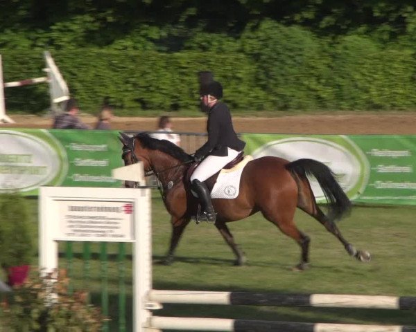 Reitturnier Jülich 2018