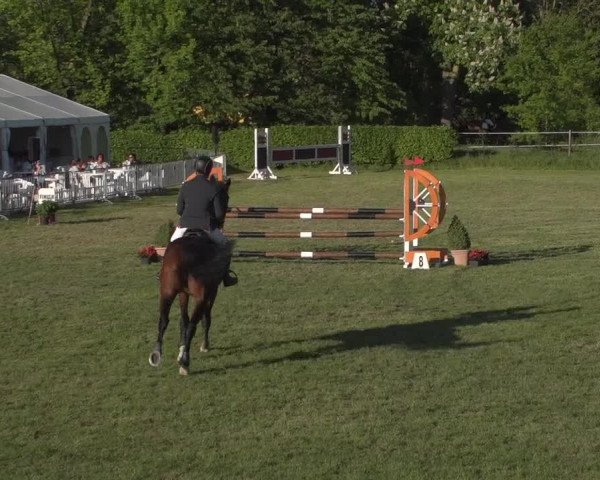 Reitturnier Jülich 2018