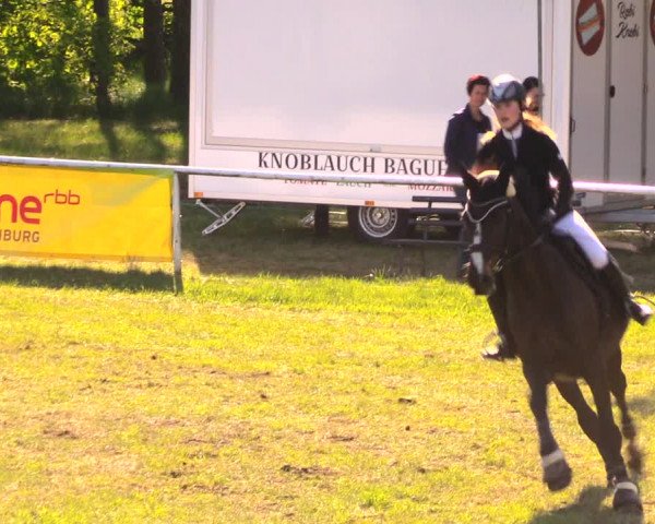 Reitturnier Altbarnim 2018
