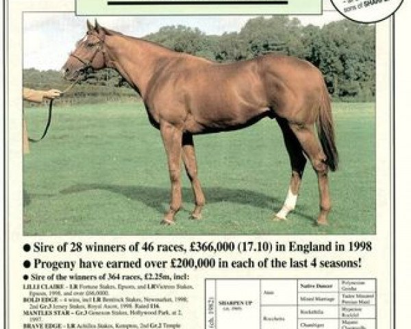 stallion Beveled xx (Thoroughbred, 1982, from Sharpen Up xx)