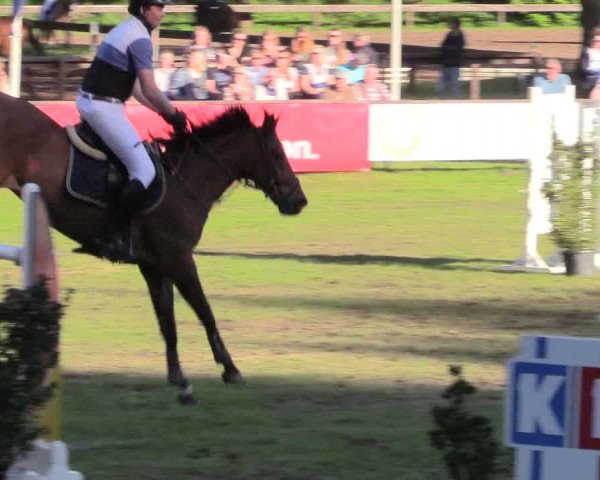Reitturnier Meppen 2018