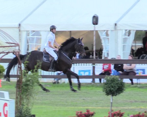 Reitturnier Meppen 2018