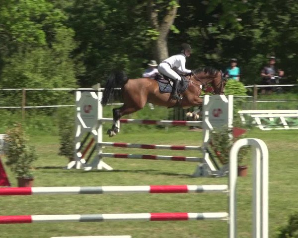 Reitturnier Jülich 2018