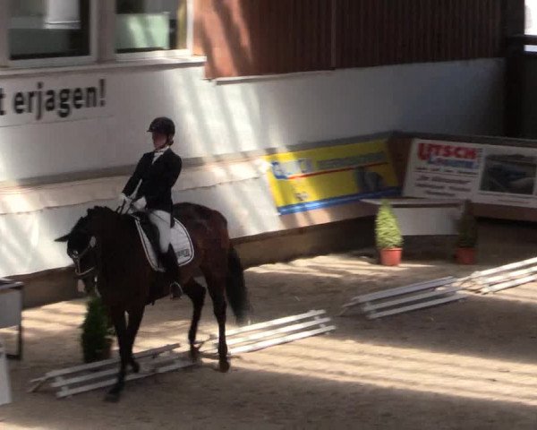 Reitturnier Kreuztal 2018