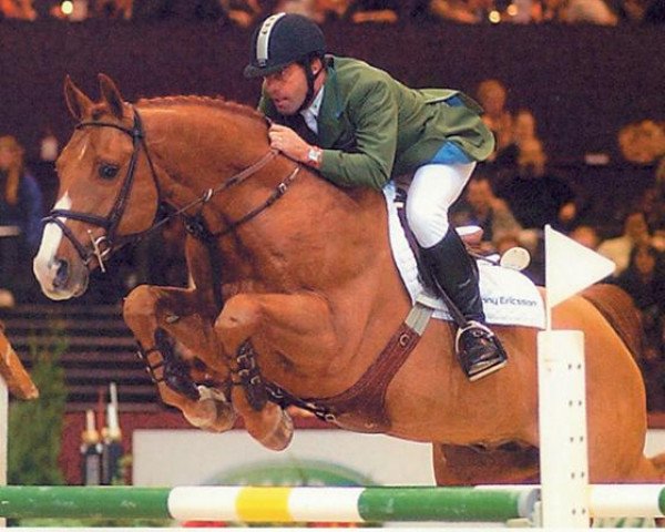 Pferd Tinka's Boy (Koninklijk Warmbloed Paardenstamboek Nederland (KWPN), 1989, von Zuidpool)