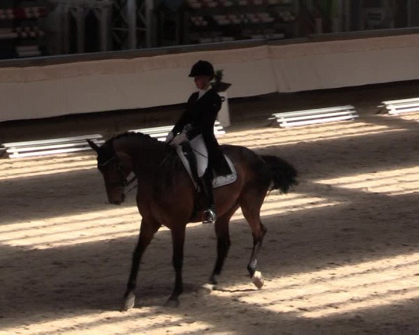 Reitturnier Kreuztal 2018