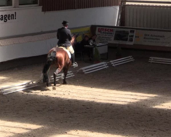 Reitturnier Kreuztal 2018