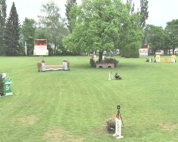 Reitturnier Uster 2018