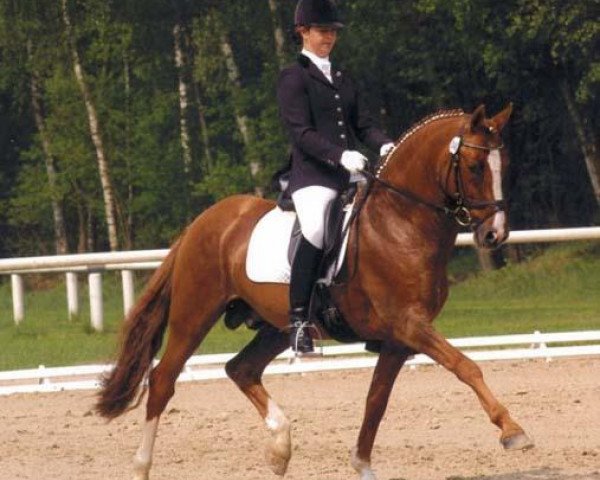 stallion FS Don't Worry (German Riding Pony, 1995, from FS Dacapo Doro)