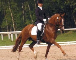 stallion FS Don't Worry (German Riding Pony, 1995, from FS Dacapo Doro)