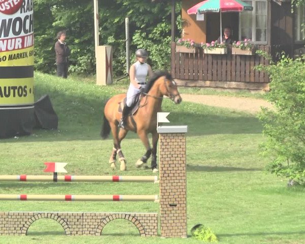 Reitturnier Uster 2018