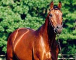 stallion Frescobaldi xx (Thoroughbred, 1972, from Pentathlon xx)