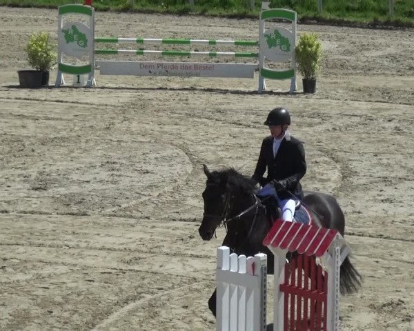 Reitturnier Köln-Leverkusen 2018