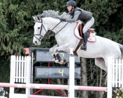 Zuchtstute Ilena de Mariposa (Belgisches Warmblut, 2008, von Caspar (Berlin))