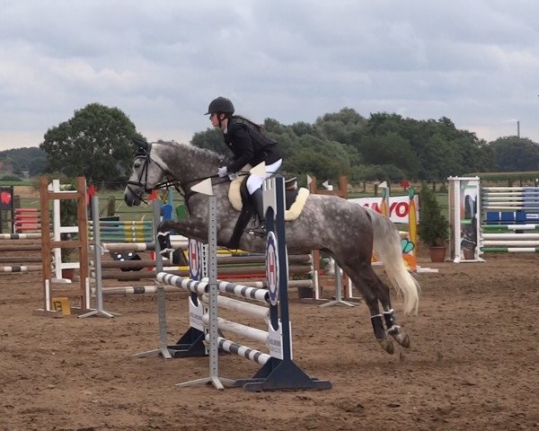 jumper Romee 7 (New Forest Pony, 2005, from Carlo)