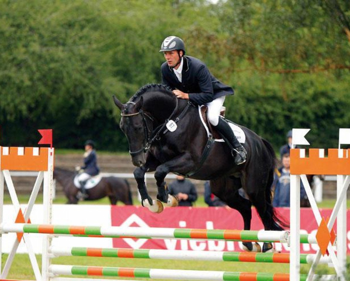 Deckhengst Come close (Trakehner, 2007, von Heops)