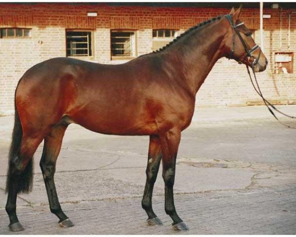 stallion Alantas xx (Thoroughbred, 1989, from Anatas xx)