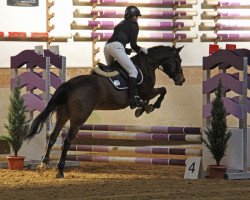 dressage horse Jakota (German Riding Pony, 2003, from Alibaba)