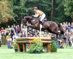 jumper Parmenides 4 (Trakehner, 2004, from Sir Chamberlain)