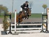 jumper Quanita PJ (Hanoverian, 2012, from Quality 9)