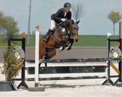 jumper Quanita PJ (Hanoverian, 2012, from Quality 9)