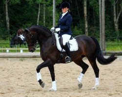 horse Cruella PJ (Hanoverian, 2003, from Compliment)