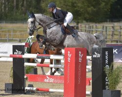 jumper Carlotta Pj (Hanoverian, 2009, from Cartani 4)