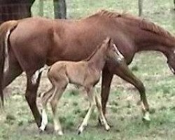 broodmare Madam Bucheron xx (Thoroughbred, 2005, from Seneca Jones xx)