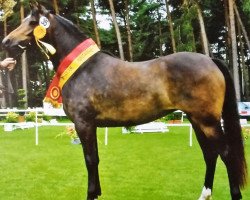 Zuchtstute Betty (Welsh Pony (Sek.B), 1999, von Hasko)