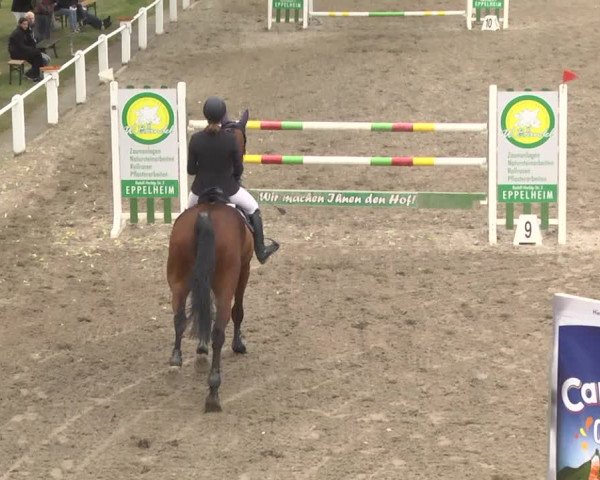 Eppelheimer Reiterfest 2018