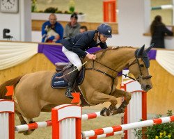 broodmare Gentiane de La Pomme (Belgian Warmblood, 2006, from Shindler de Muze)