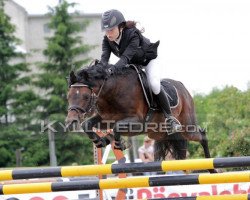 stallion Mon Cherg (German Riding Pony, 2003, from Mariano)