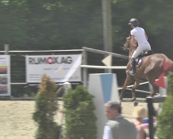 Reitturnier Winkel 2018