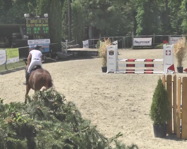 Reitturnier Winkel 2018