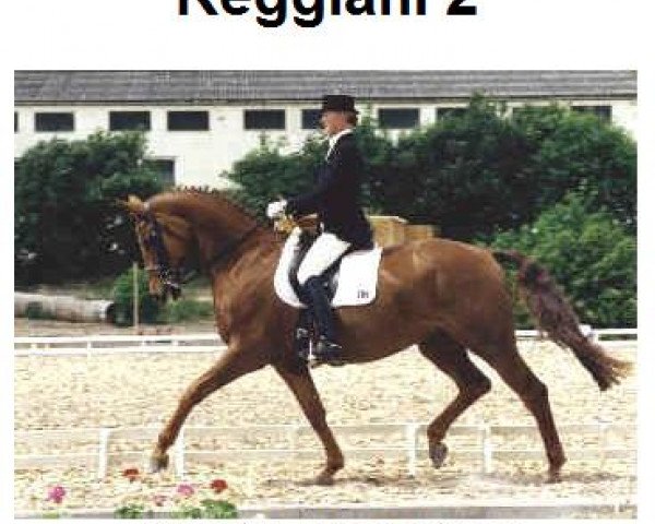 Dressurpferd Reggiani 2 (Hessisches Warmblut, 1992, von Rubinstein I)
