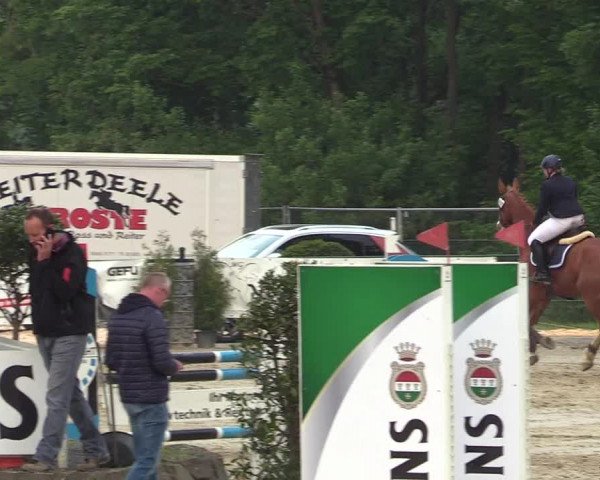 Reitturnier Hellefeld 2018