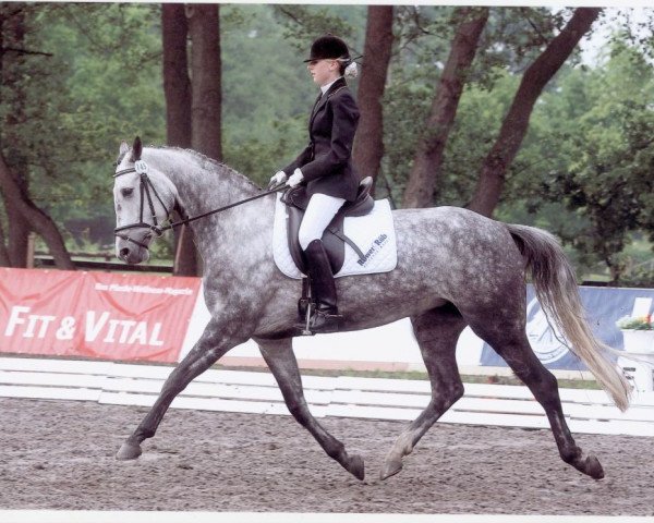 horse Maroussia G (Oldenburg, 1999, from Abdullah)