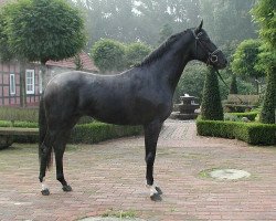 stallion Mon Dieu (Oldenburg, 1999, from Michelangelo)