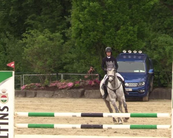 Reitturnier Hellefeld 2018