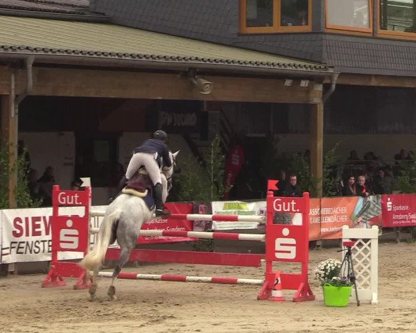 Reitturnier Hellefeld 2018