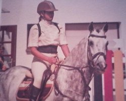 jumper Le Petit Male (German Sport Horse, 2004, from L Avian)