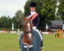 Dressurpferd Double Enjoy (Deutsches Reitpony, 2008, von Dressman)