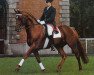 horse Bolero (Hanoverian, 1975, from Black Sky xx)