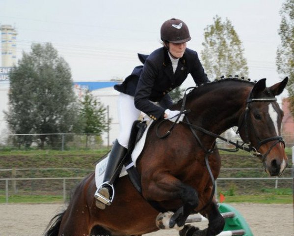 Pferd Zentara (Sachsen-Anhaltiner, 1999, von Zenturio)