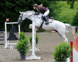 broodmare Coral (Hungarian Warmblood, 2001, from Cassini II)