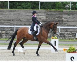 dressage horse Aspen 9 (Rhinelander, 1999, from Aquilino)